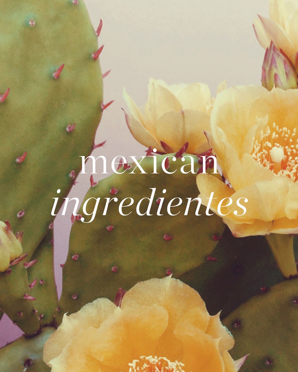 Slovníček ingrediencí (INCI) Ere Perez