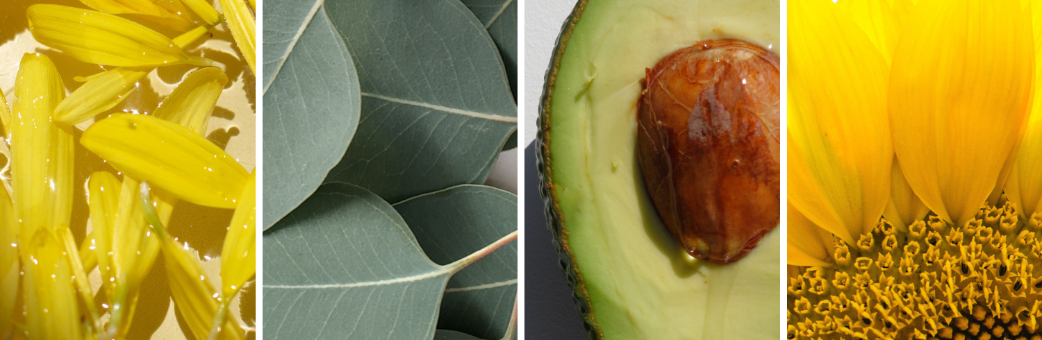 slozeni_organicka_kosmetika_ere_perez