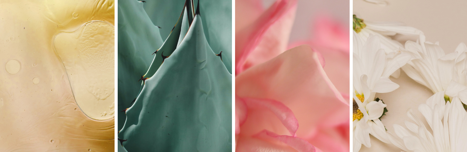 slozeni_prirodni_kosmetika_ere_perez