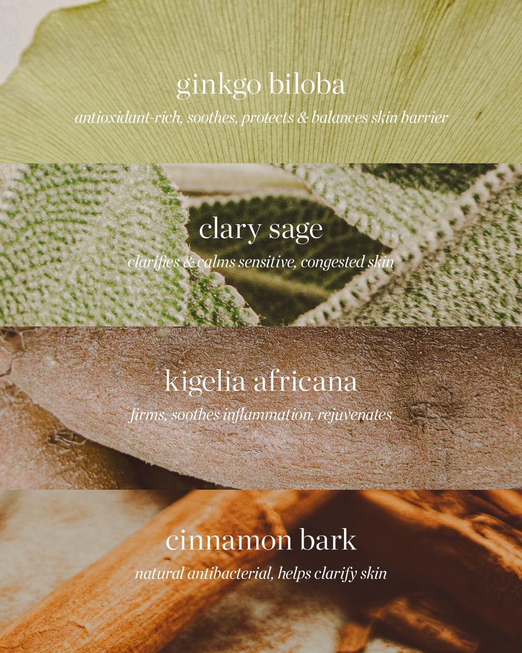 ereperez-micelarni-voda-cistici