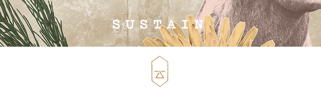 sustain-banner